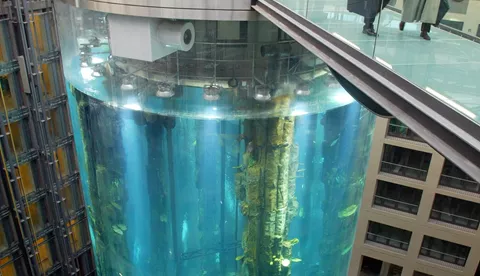 Der Aquadom ist das größte zylindrische Aquarium weltweit