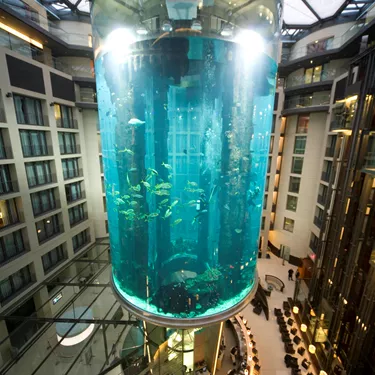 Das Aquarium Aquadom in Berlin