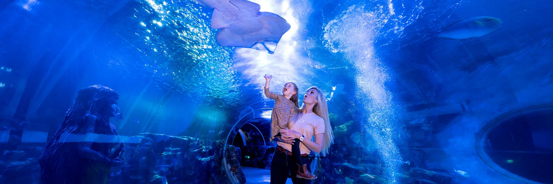 Mother & Daughter Ocean Tunnel