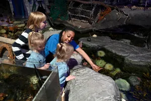 Children at the Rockpool area, SEA LIFE Birmingham