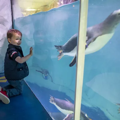 Sea Life Birmingham
