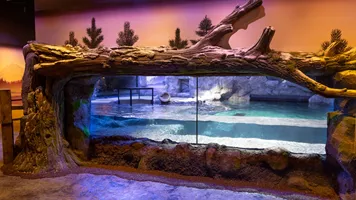 The Rescue Facility at the National SEA LIFE Centre Birmingham