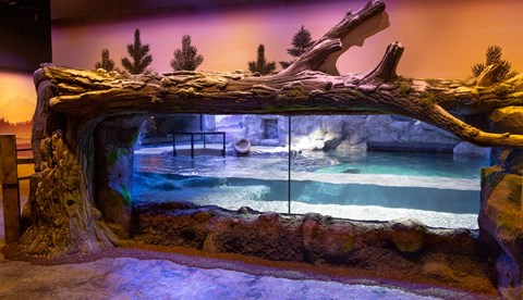 The Rescue Facility at the National SEA LIFE Centre Birmingham