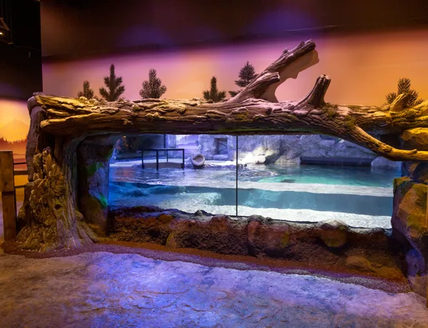 The Rescue Facility at the National SEA LIFE Centre Birmingham