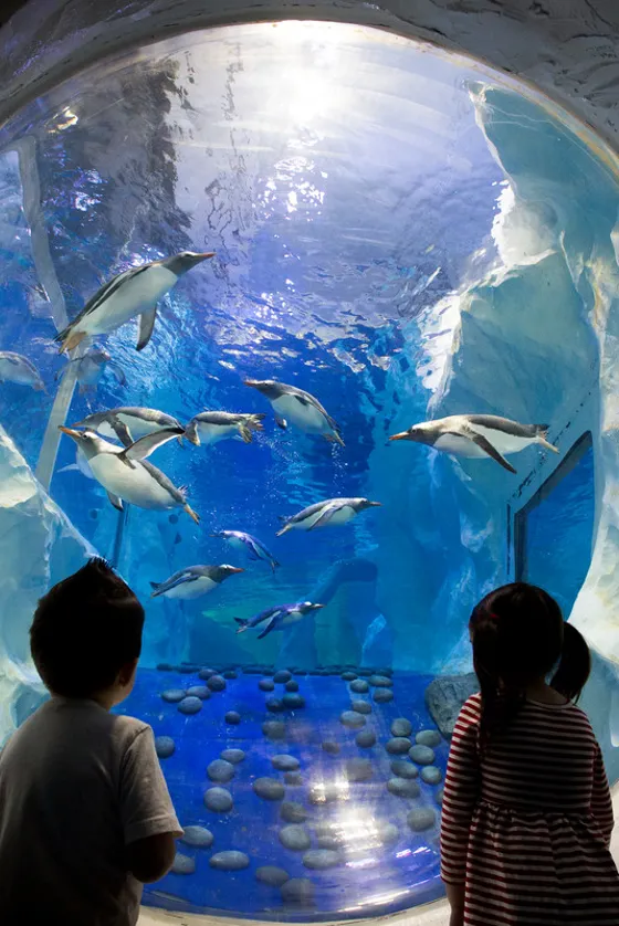 Plan a Visit National SEA LIFE Centre Birmingham Aquarium