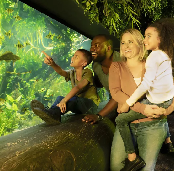 Family At The Aquarium
