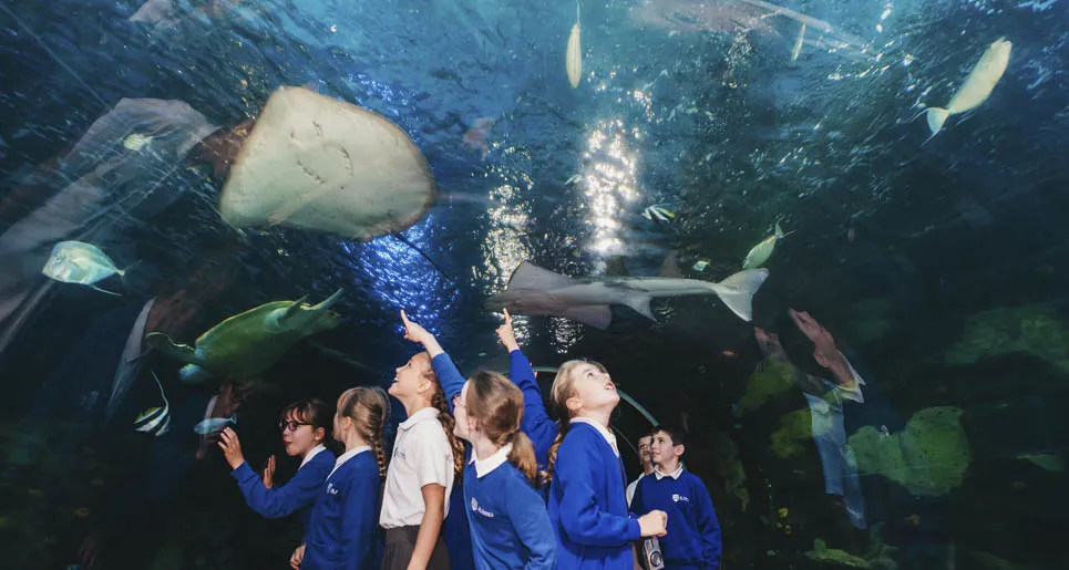 School Trip to aquarium