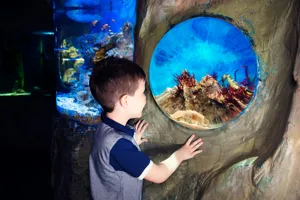 Aquarium