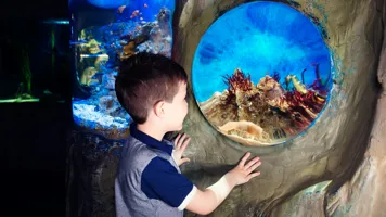 Aquarium