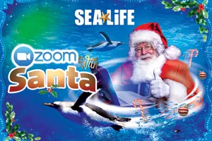 Zoom with Santa at SEA LIFE