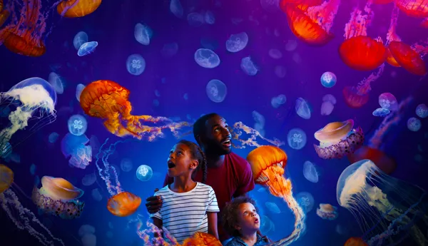 Ocean invaders