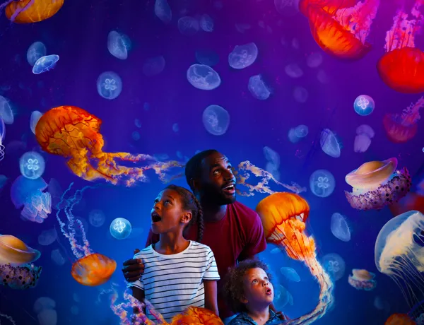 Ocean invaders