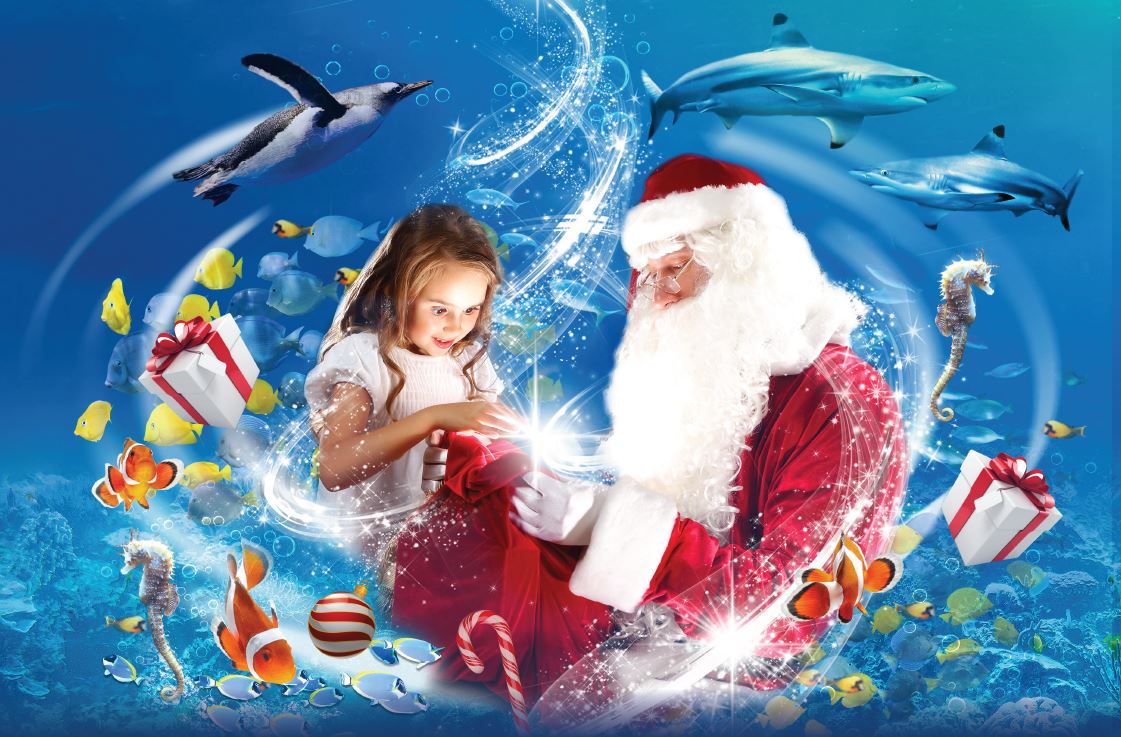 Elf and Santa in the ocean tunnel at SEA LIFE