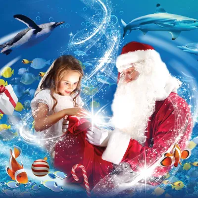 Elf and Santa in the ocean tunnel at SEA LIFE
