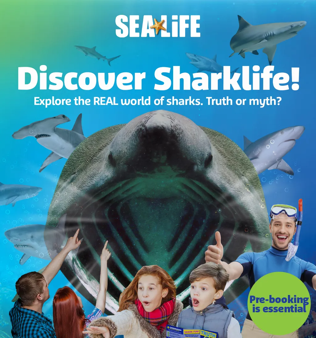 Sharklife