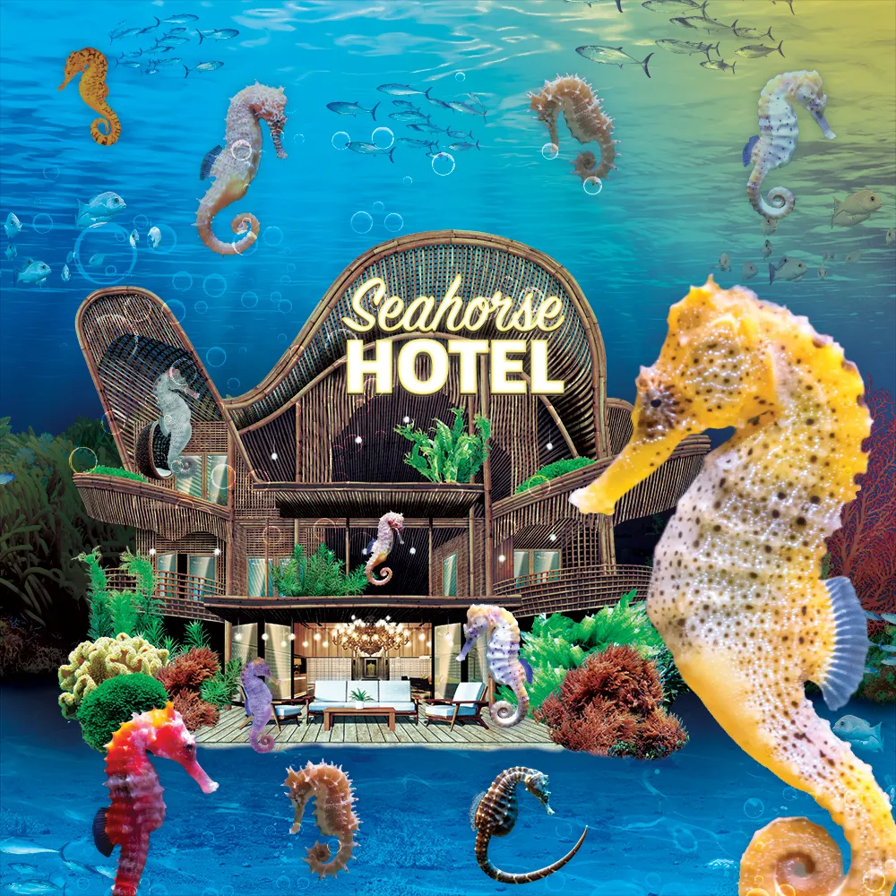 Seahorse Hotel