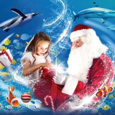 Zoom with Santa this Christmas at SEA LIFE