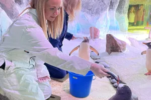 Feeding Penguins At Birmingham 7.5