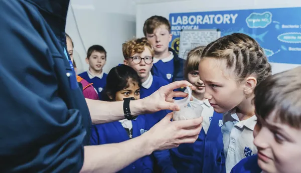 Behind The Scenes Schools