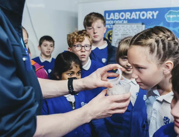 Behind The Scenes Schools