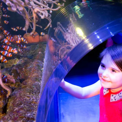Girl at Clownfish Kingdom at the National SEA LIFE Centre Birmingham