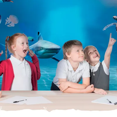 Schools Banner