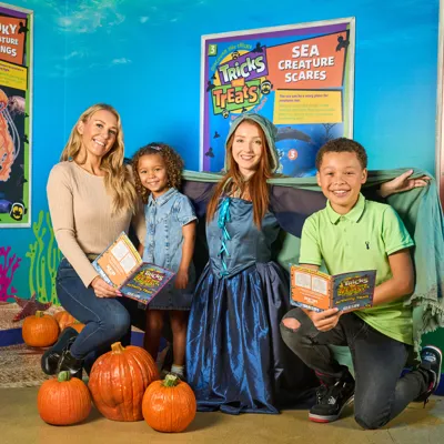 Sealife Halloween SJ 082