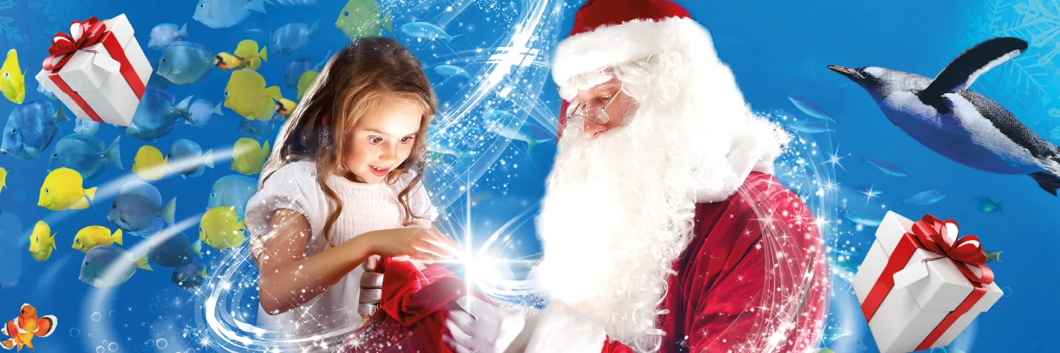 Santa Header 1500 X 500