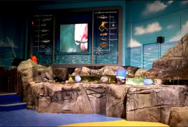 Rockpool Ranger Image