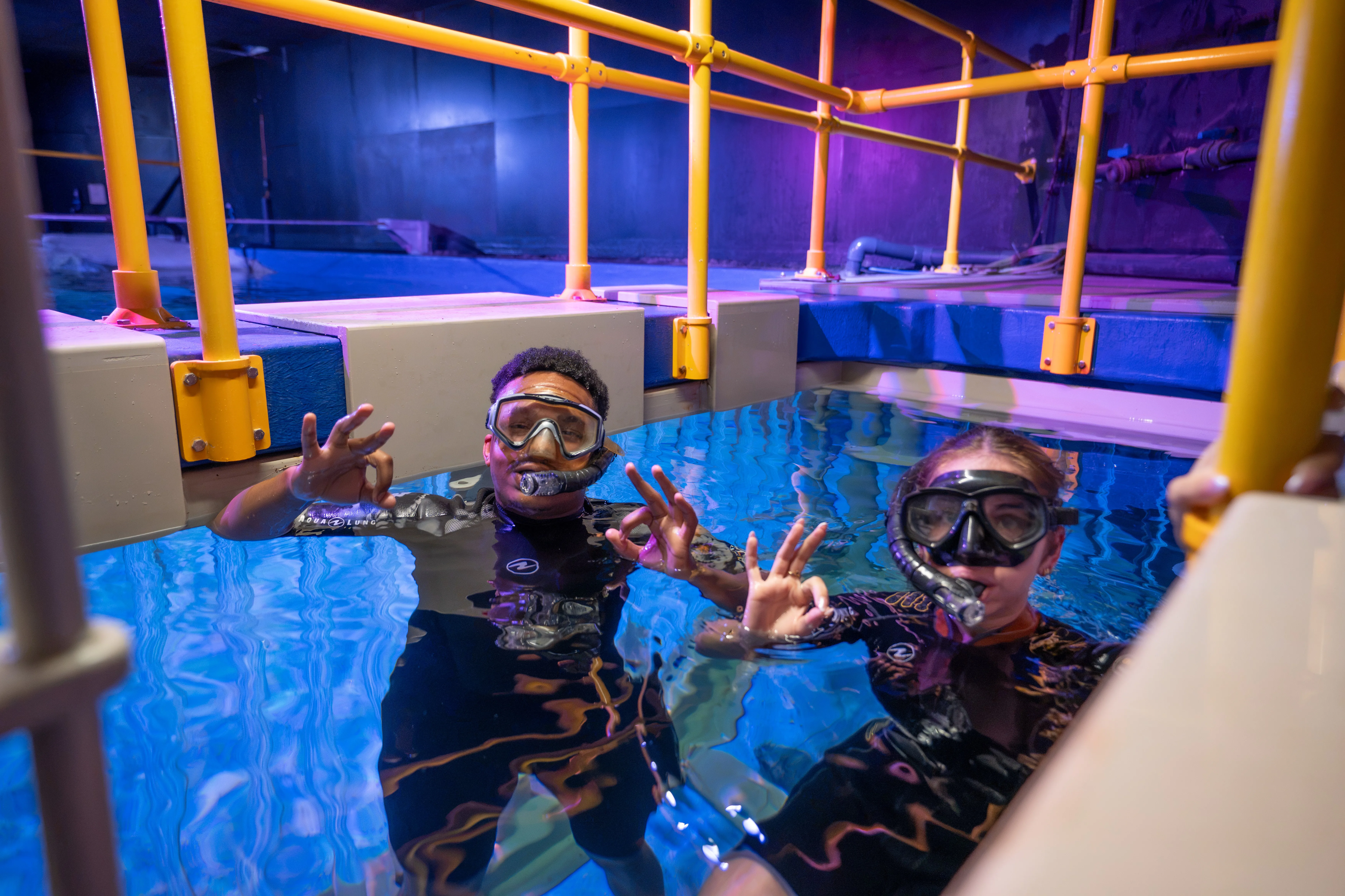 Snorkelling With The Sharks (3)