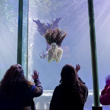 AD Mermaids 023