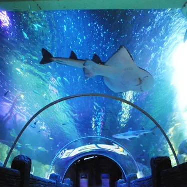 Ocean Tunnel (1)
