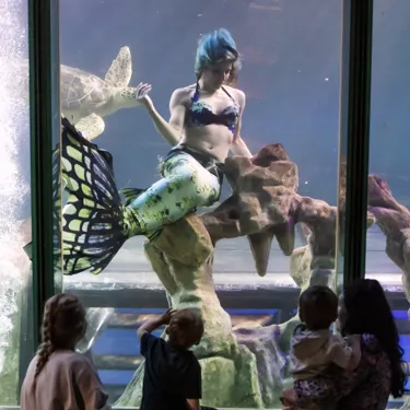 AD Sealife 015
