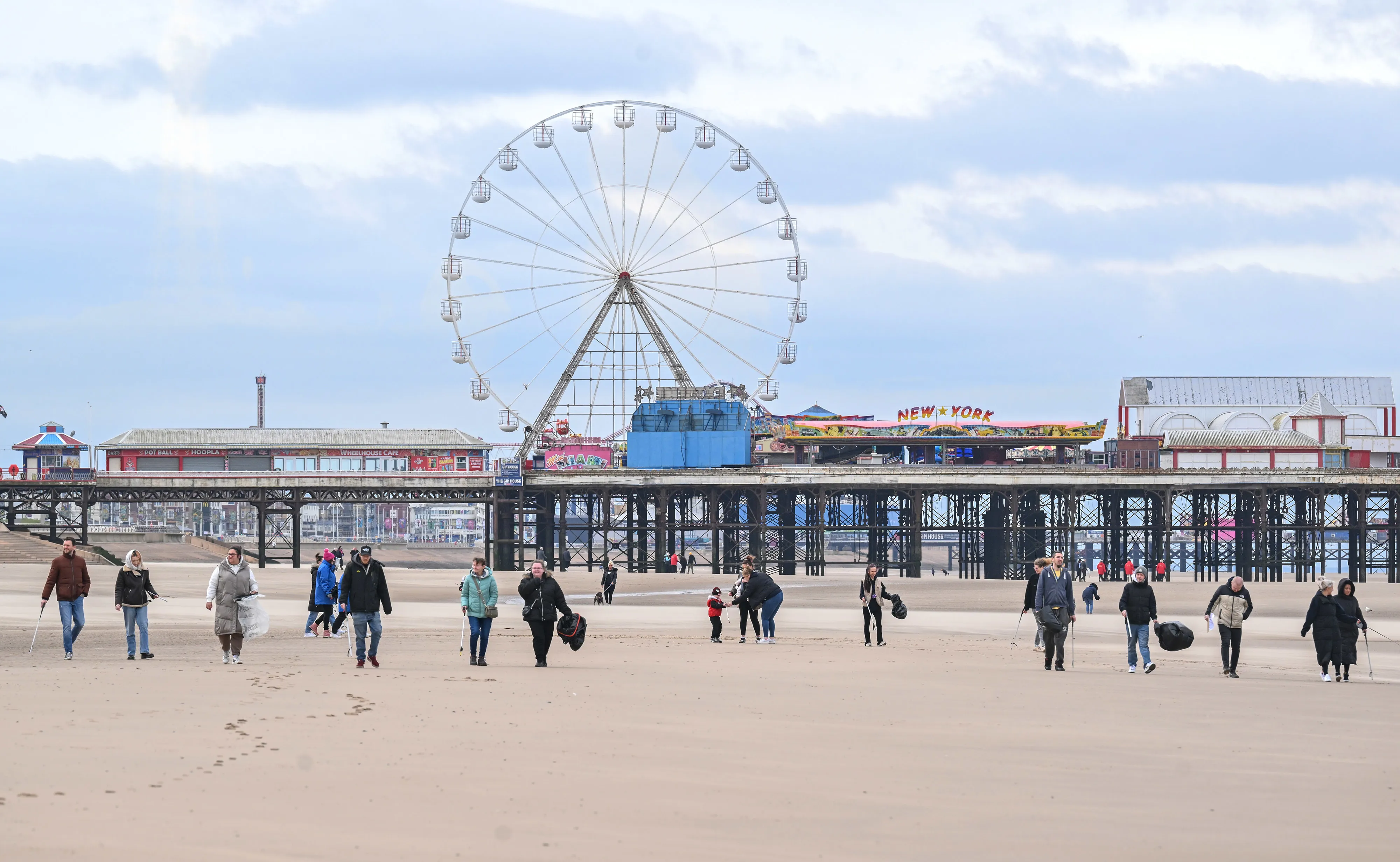 AD Sealife Beach Clean 004