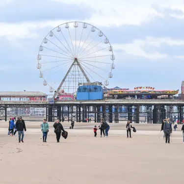 AD Sealife Beach Clean 004