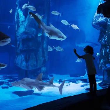 Child in ocean tunnel