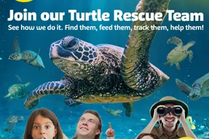 SEALIFE TURTLES SOCIAL BANNERS ARTWORK 1024X1092