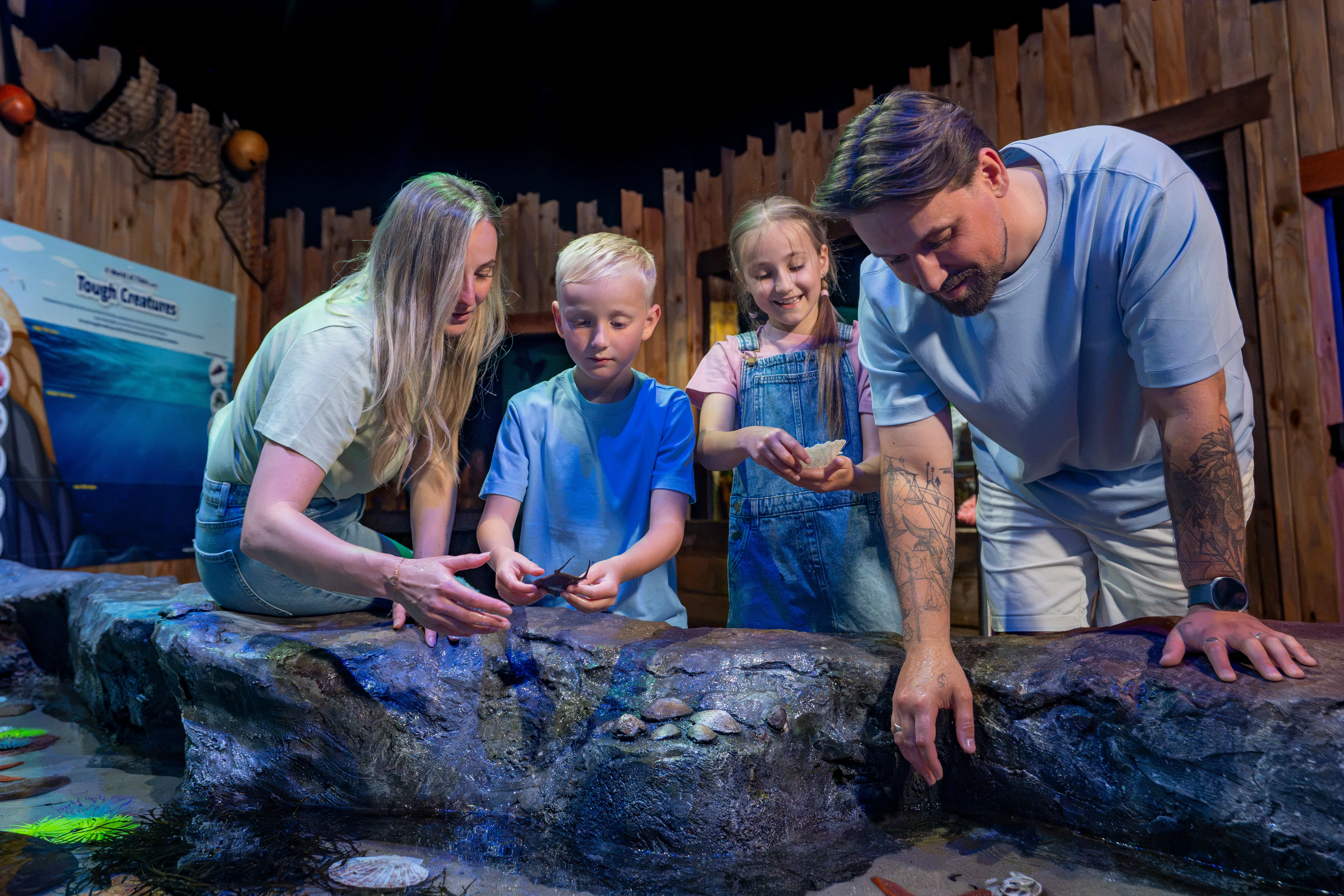 Rockpool Lifestyle (2)