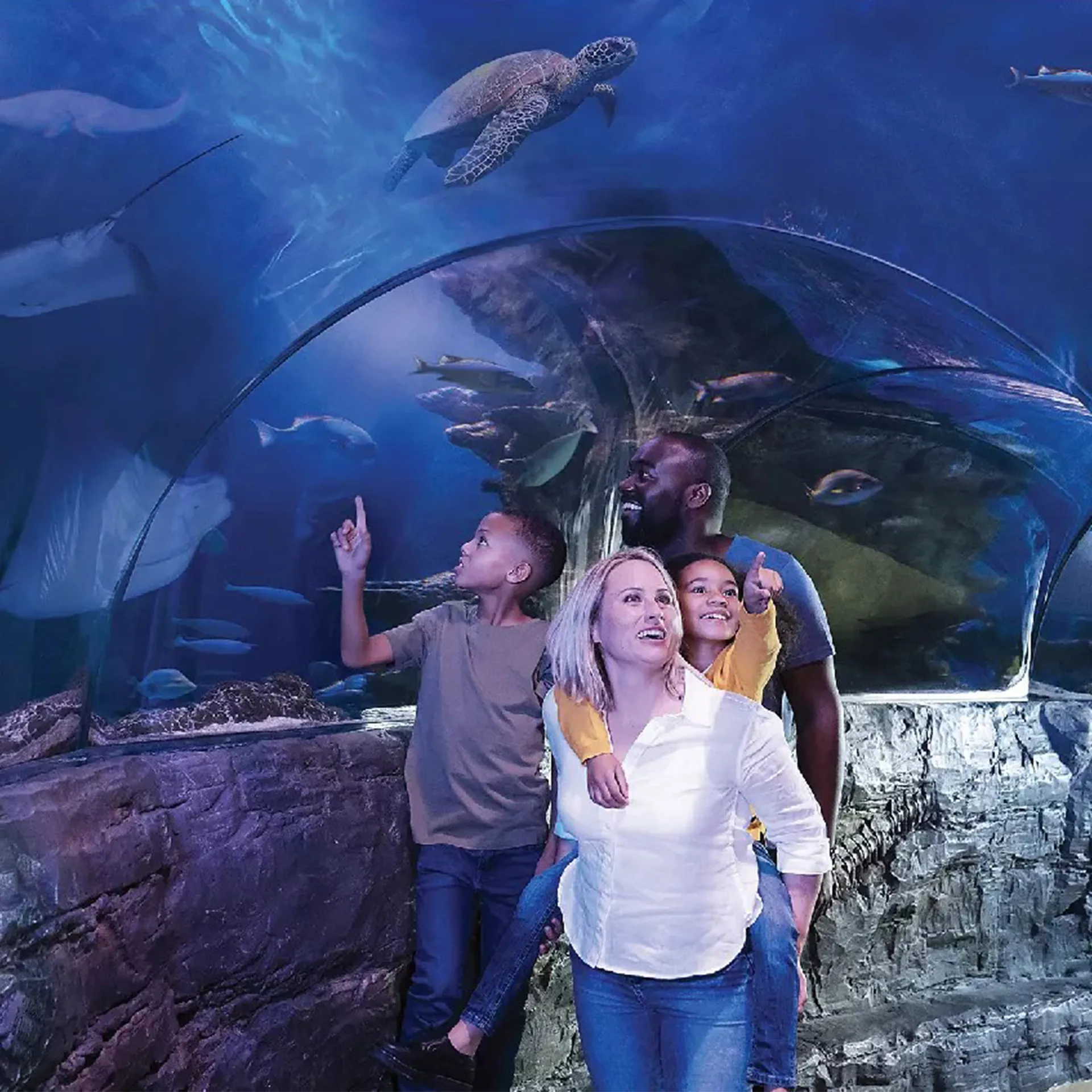 Family In Ocean Tunnel