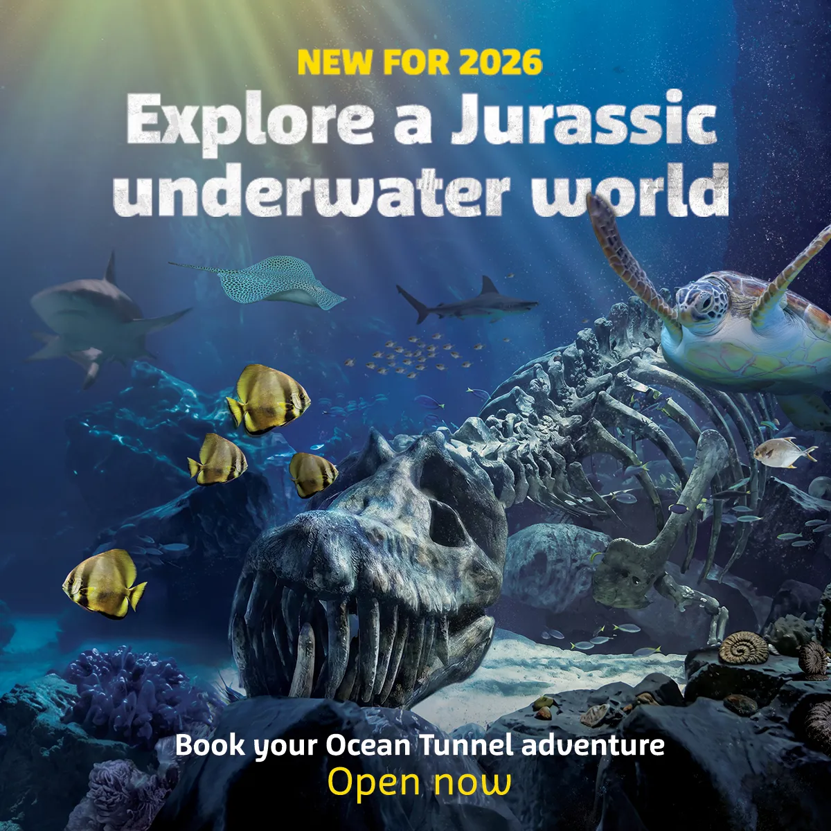 Explore A Jurassic Underwater World