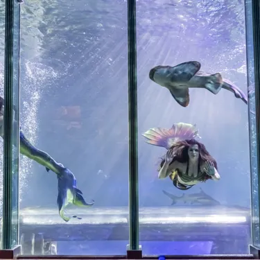 AD Mermaids 015
