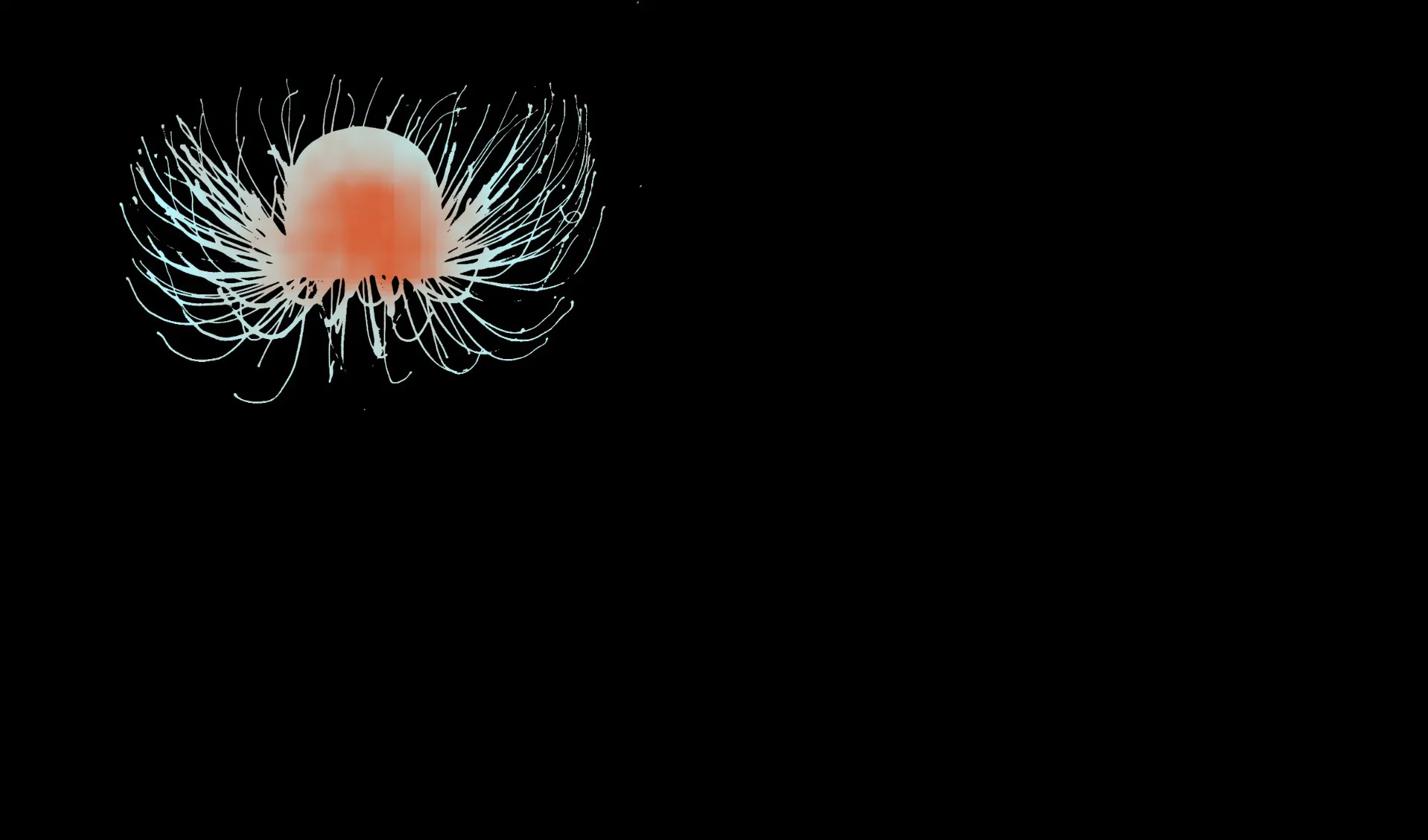 Immortal Jellyfish