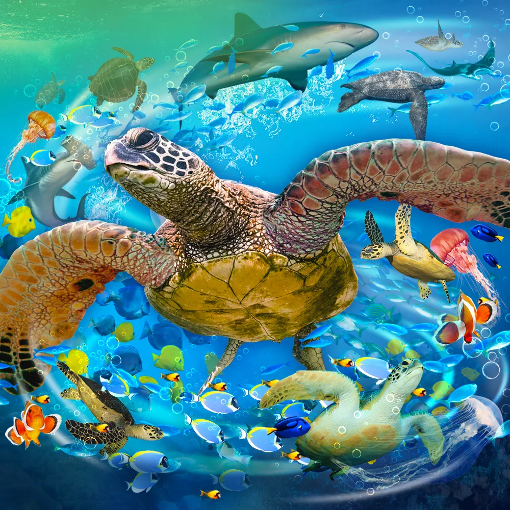 SEALIFE GREAT TURTLE ODYSSEY Digi Hdr Promo Event Page 1000X1000px