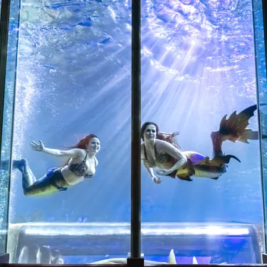 AD Mermaids 008