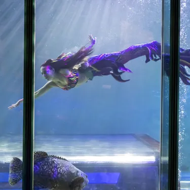 AD Mermaids 028