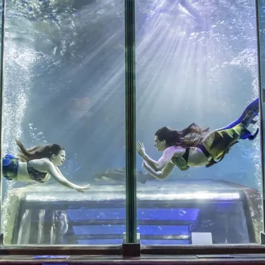 AD Mermaids 003