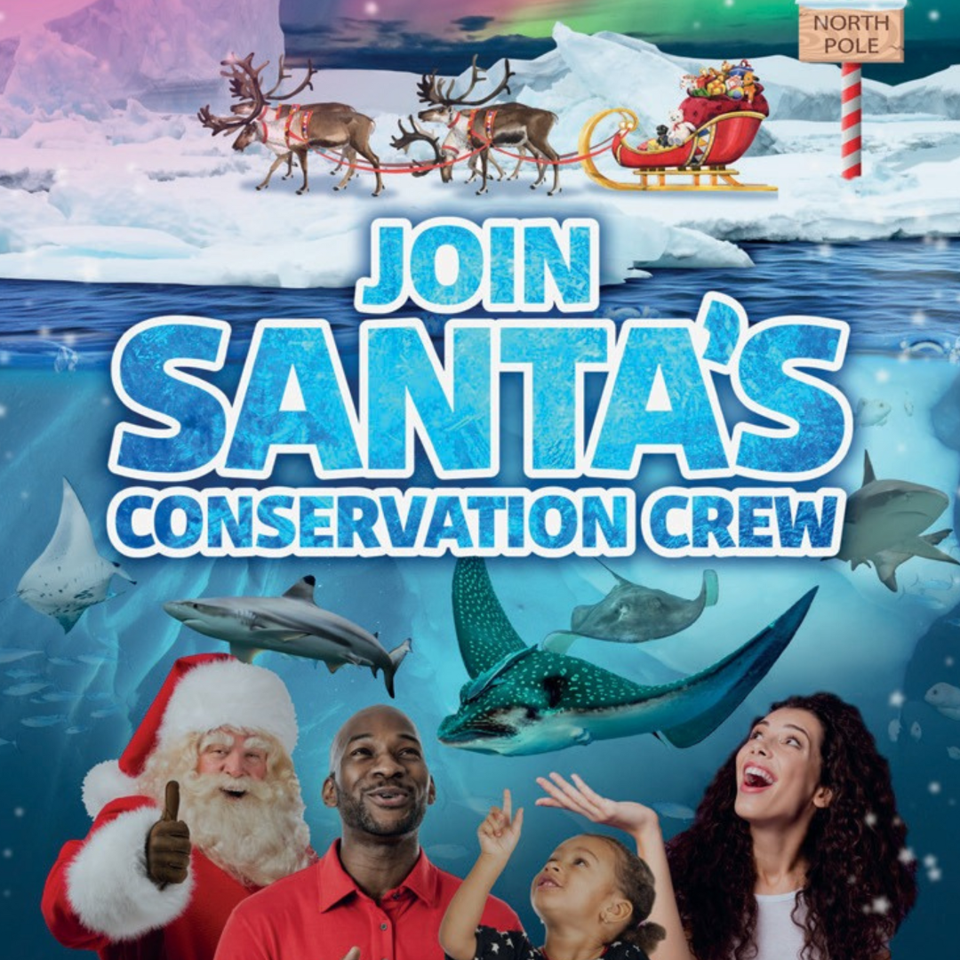 Santa's Conservation Crew