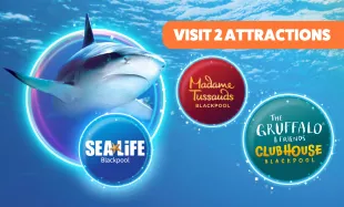 SL + 2 Attractions