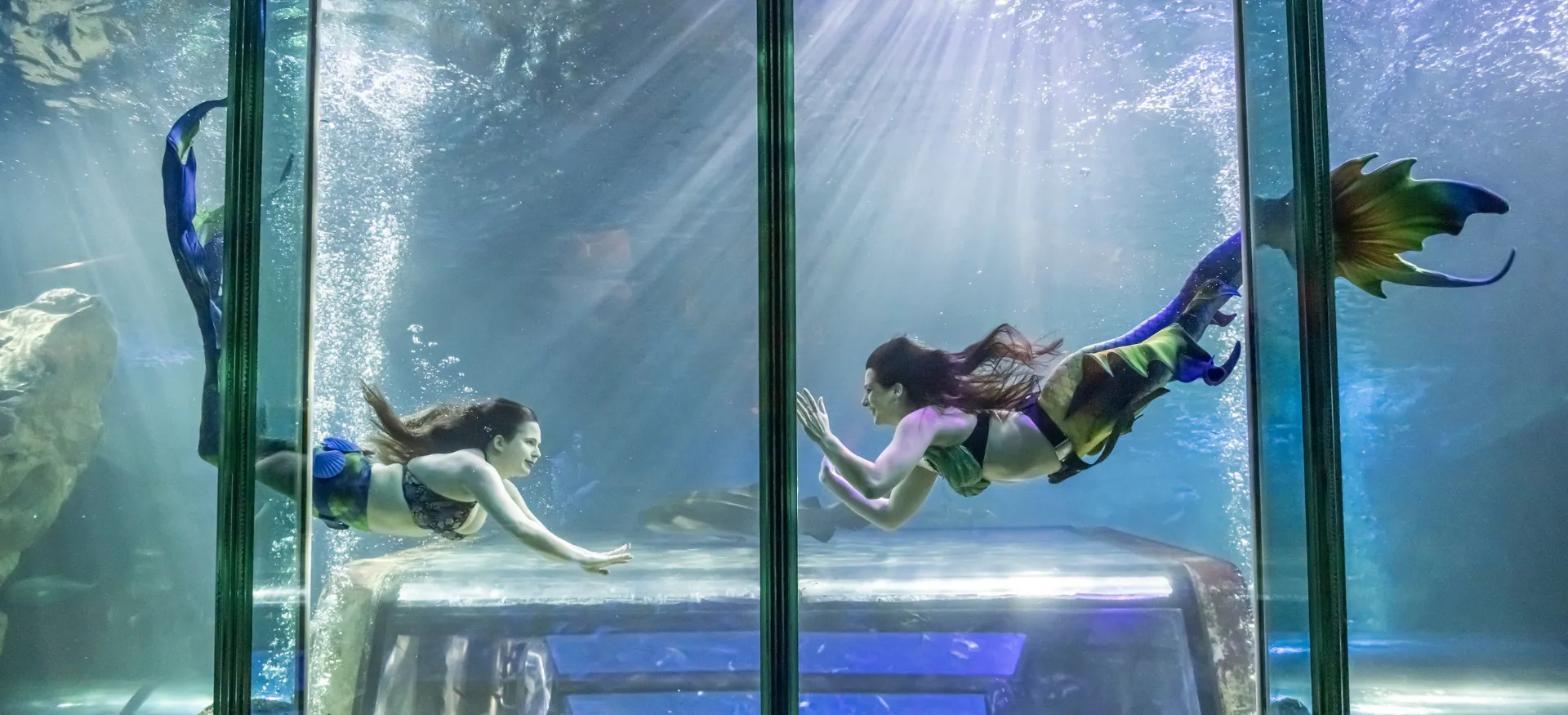 Mermaids