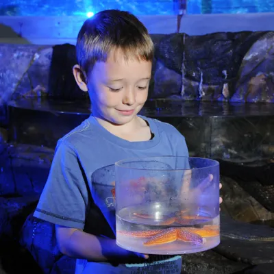 Boy holding starfish at SEA LIFE